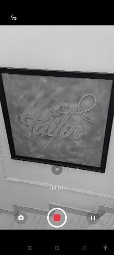 Monochrome video mode