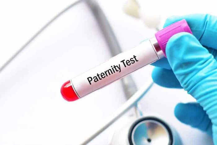 Paternity test [Sheeba]