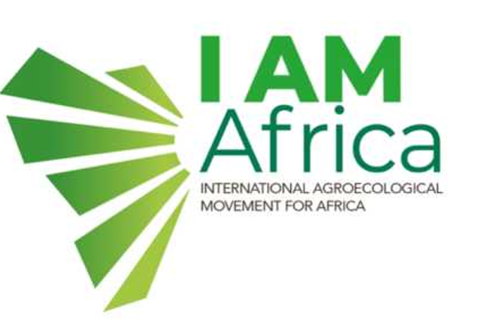 IAM Africa