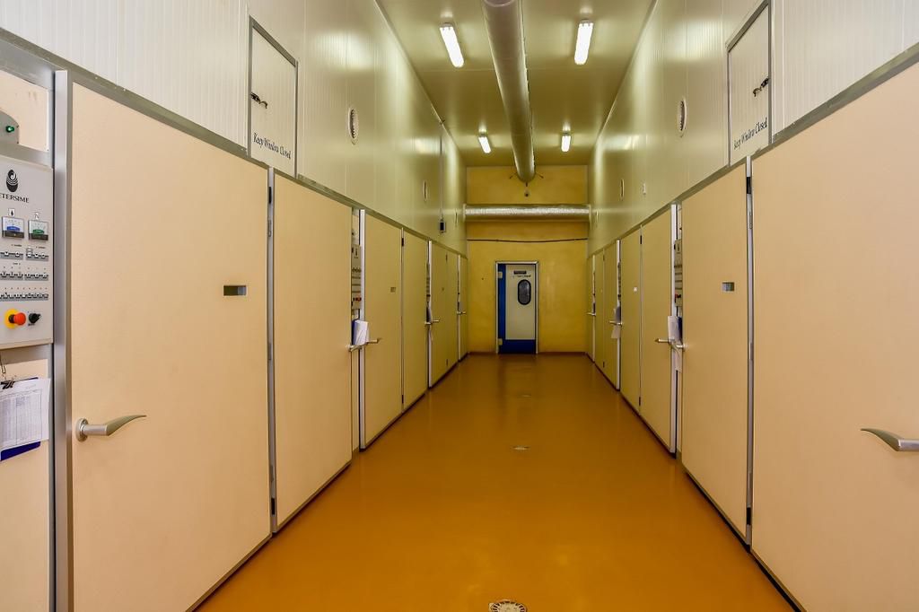 Chi Farms expands Hatchery production at Ajanla Farms