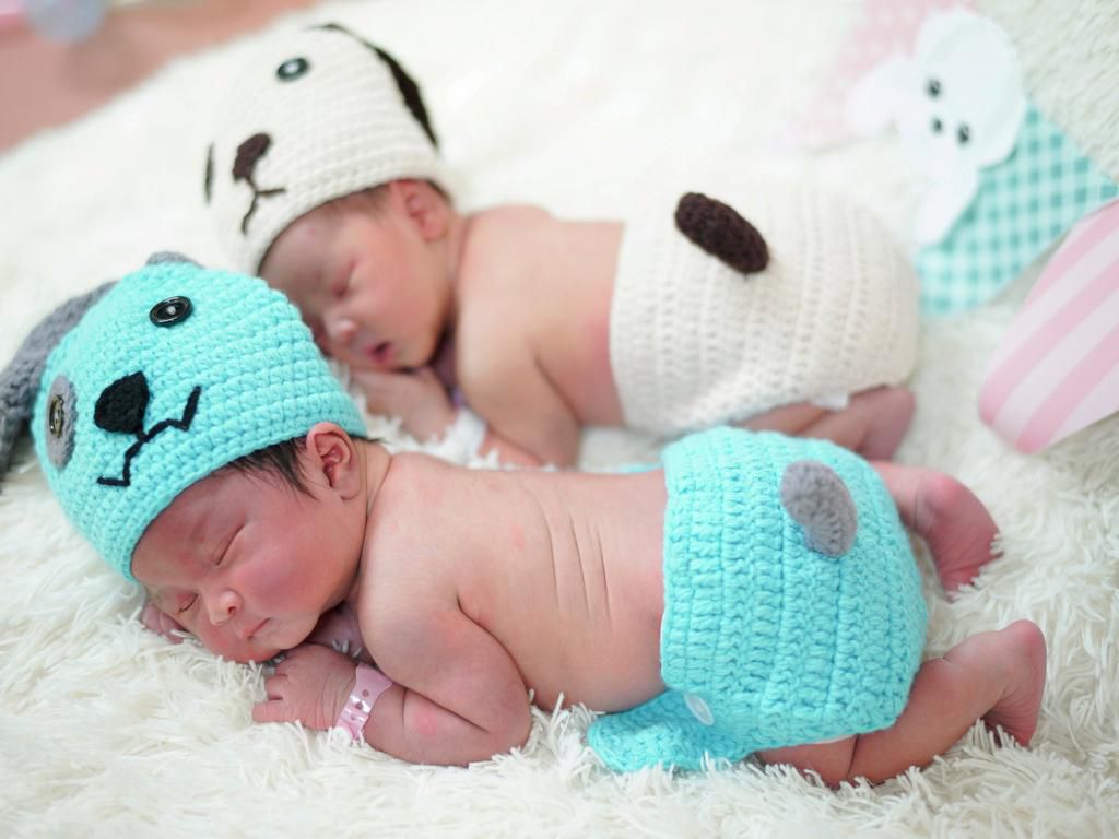 newborn babies twins dog costumes
