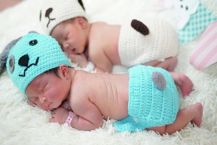 newborn babies twins dog costumes