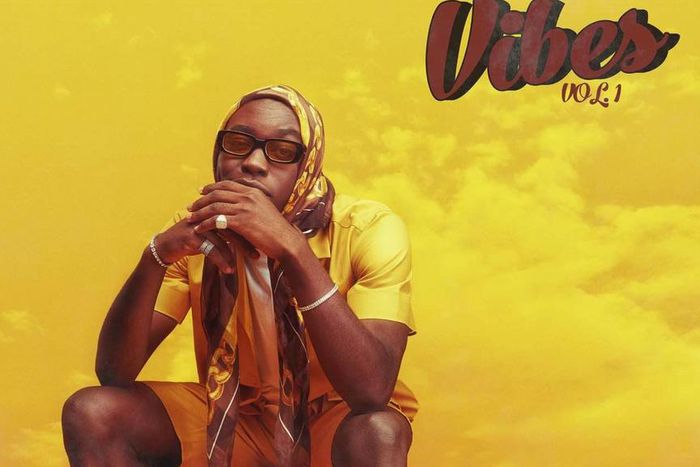 Crowning the year with his long awaited body of work, O.L.A presents his teeming fans and audience with 'VIBES VOL. 1'