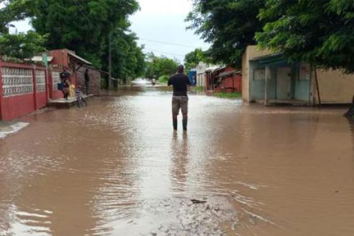 International Organization for Migration (IOM)