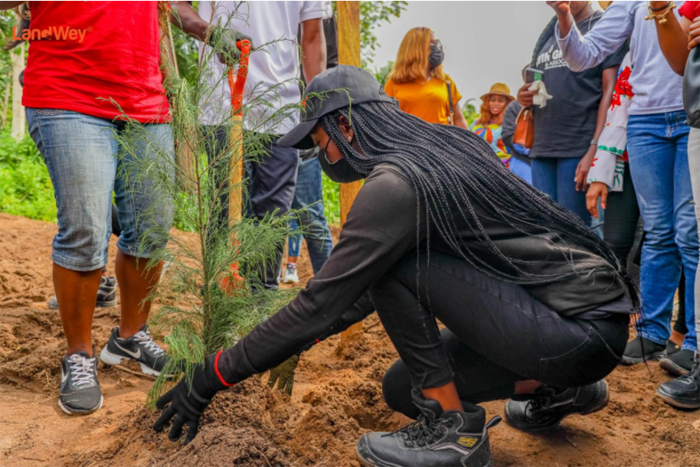 LandWey's Isimi Lagos contributes to the UN SDG goals with Three Farm Initiative