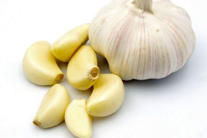 Garlic
