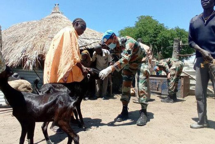 United Nations Mission in South Sudan (UNMISS)