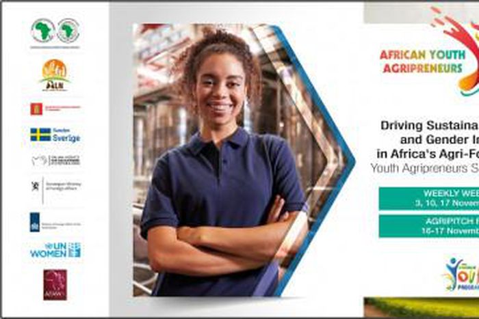 African Development Bank Group (AfDB)