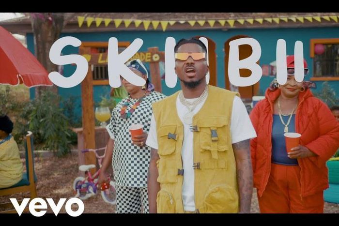 Skiibii releases new video for, 'Are You There.' (MGM)
