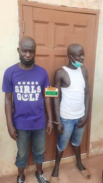 Police arrest 26-year-old woman and 4 men for attempting to steal twin babies
