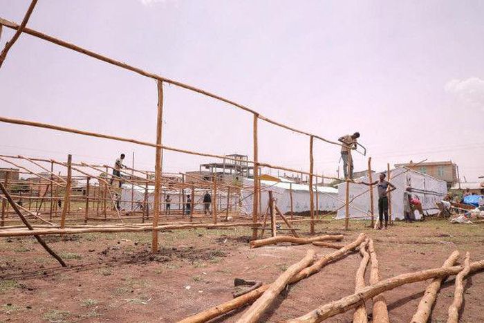 International Organization for Migration (IOM)