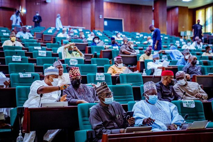 Lawmakers in the House of Representatives [NASS]