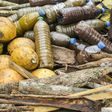 Traditional medicine on sale at the Mvog Mbi market in the Cameroonian capital, Yaounde