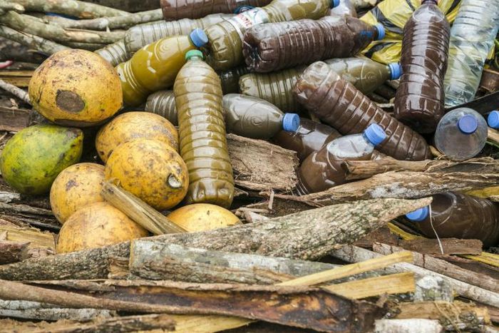 Traditional medicine on sale at the Mvog Mbi market in the Cameroonian capital, Yaounde