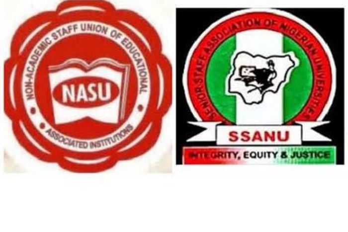 University workers  to begin strike on February 5 (Osunvoice)