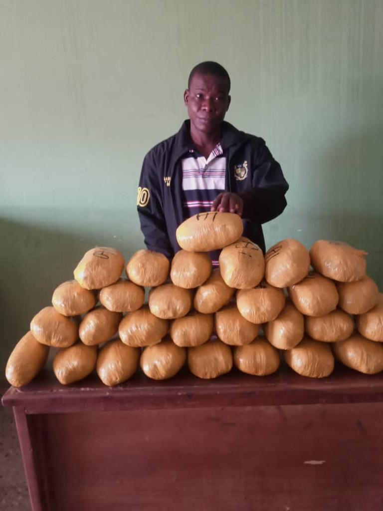 How NDLEA arrested 10 online drug traffickers, 5 dispatch riders. [NDLEA]