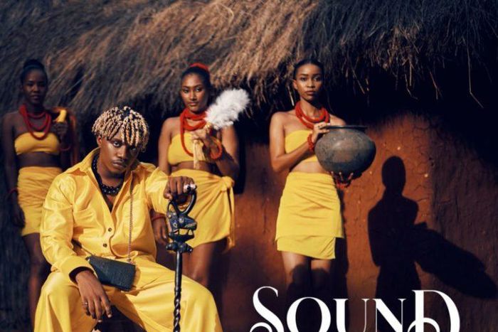 Rayvanny - Sound of Africa. (WCB)