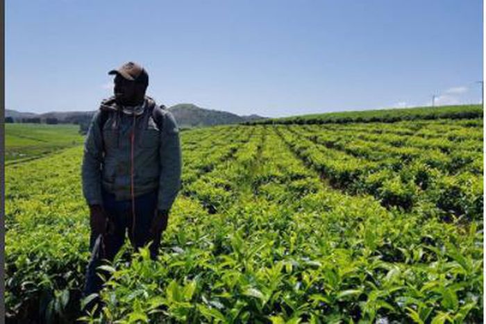 Fu'ad Lawal (Instagram/Pulse)