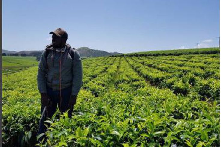 Fu'ad Lawal (Instagram/Pulse)