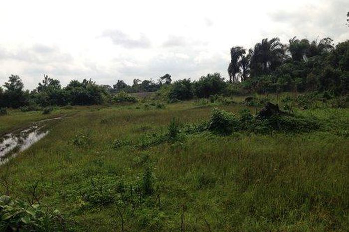 How to buy a land in Lagos.