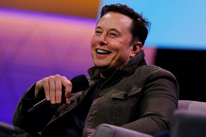 Tesla's CEO Elon Musk.