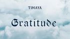 Timaya - Gratitude. (DM Records)