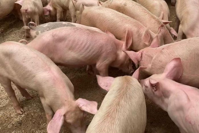 Farmpower aims to change lives with its investment opportunities