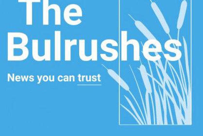 The Bulrushes
