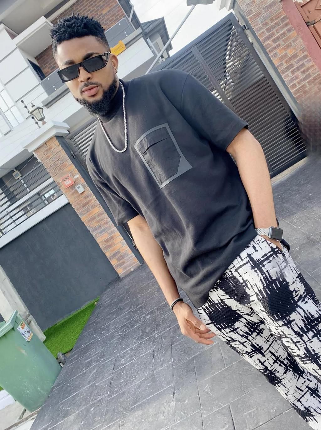 The sedulous life of Danaustino