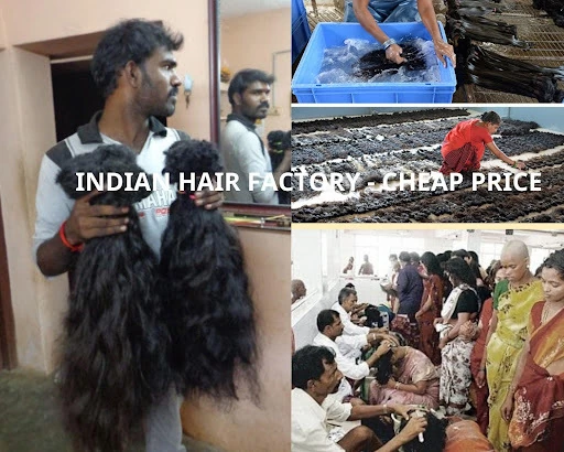 Compare Vietnamese hair factory with Indian hair factory.