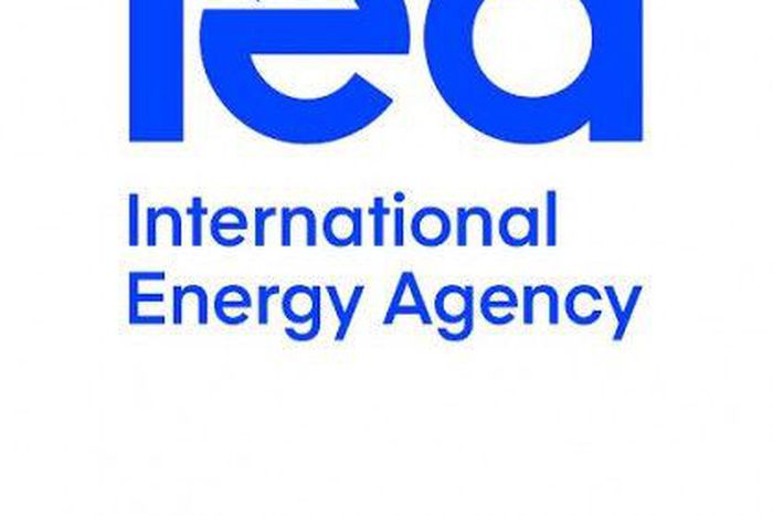 African Energy Chamber