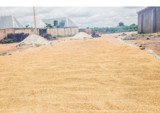 There are opportunities in Sokoto