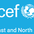 UNICEF, Middle East and North Africa