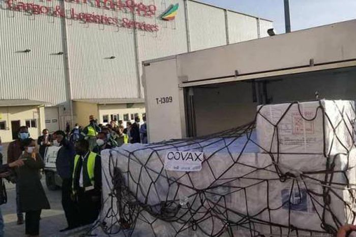 The World Bank Group