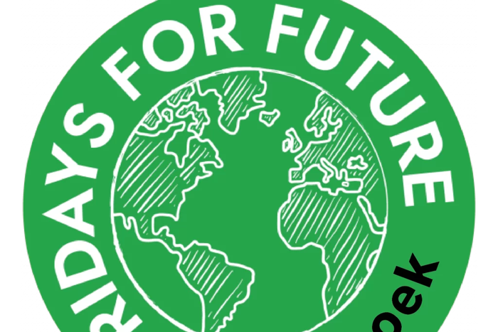 Fridays for Future Namibia