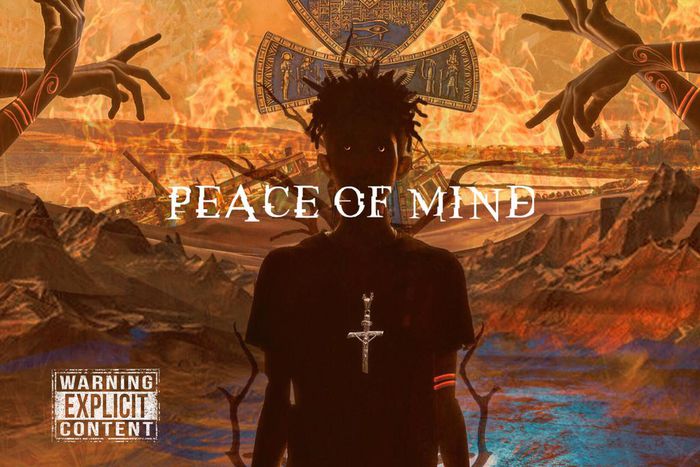 Plvyboi Pluto - Peace of Mind. (TBD)