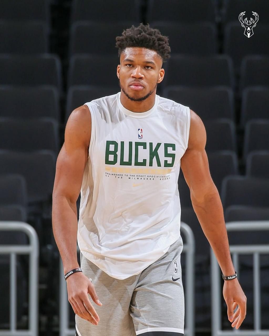 Giannis Antetokounmpo (Instagram/Bucks)