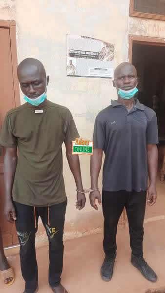 Police arrest 26-year-old woman and 4 men for attempting to steal twin babies