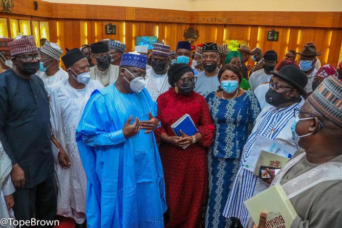 Nigerian senators [Tope Brown]