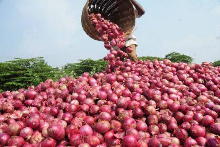 Nigerian onion producers commence export to West African countries. [Vanguard]