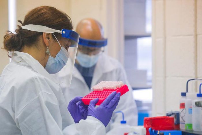 Scientists work in a lab testing COVID-19 samples at New York City's health department, during the outbreak of the coronavirus disease (COVID-19) in New York City, New York U.S., April 23, 2020. Picture taken April 23, 2020. REUTERS/Brendan McDermid/