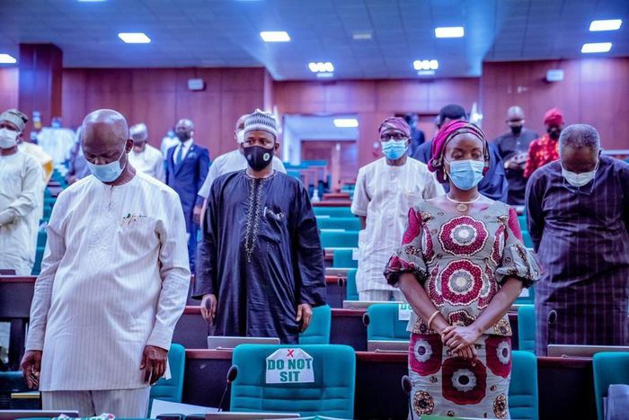Lawmakers in the House of Representatives [NASS]
