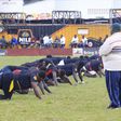 Uganda Rugby Union