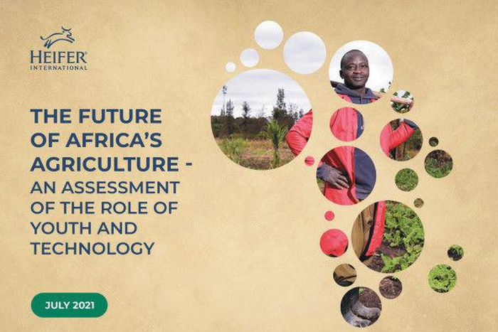 Heifer International