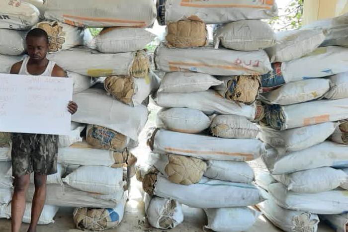 NDLEA arrests most wanted drug baron in Nassarawa. [Twitter/@ndleanigeria]