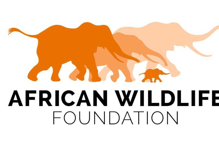 The African Wildlife Foundation (AWF)