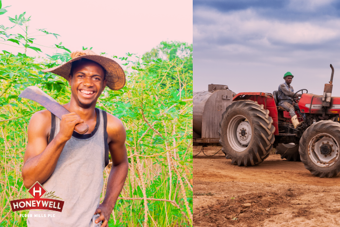 Unlocking the full potential of the food industry in Nigeria