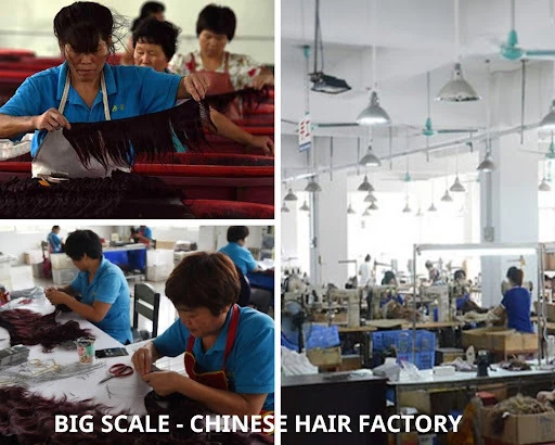 Compare Vietnamese hair factory with Chinese hair factory.