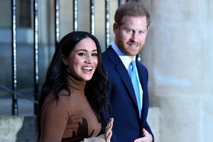 Meghan Markle has been the target of intense abuse on social media.