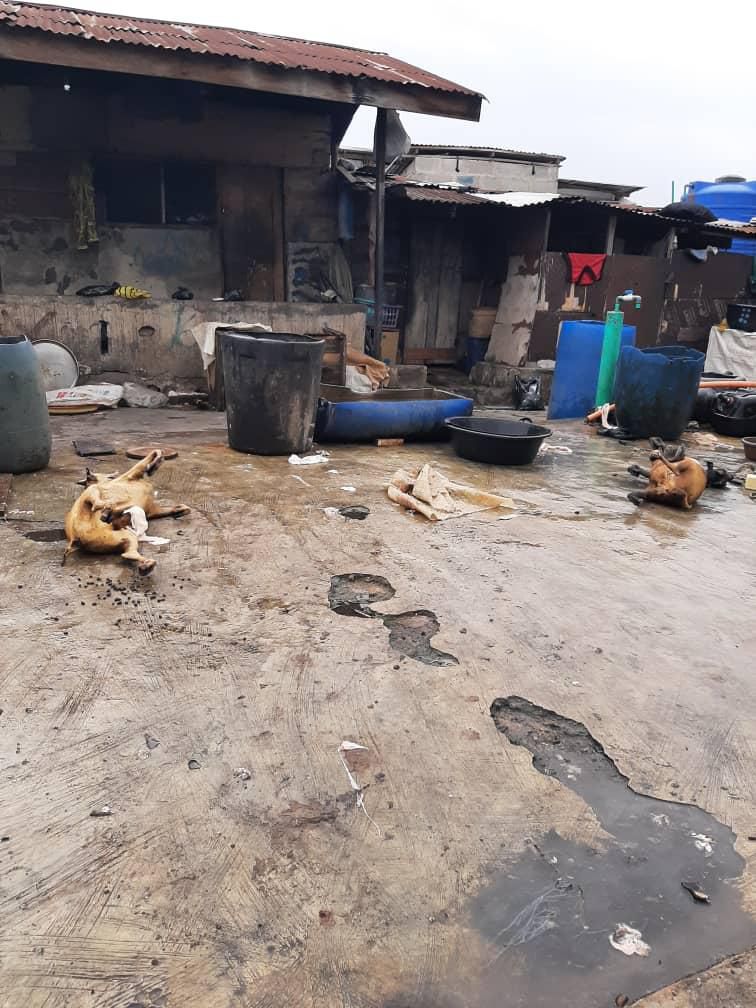 Dislodged illegal slaughter slabs by The Monitoring, Enforcement and Compliance (MEC) Team of the Lagos State Ministry of Agriculture in Lagos State. [Lagos govt]